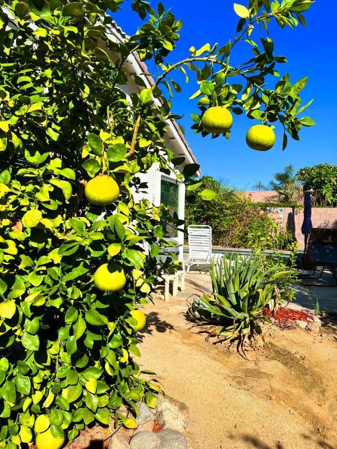 3 Bedroom House With Private Pool, Spa&Golf Course! 라퀸타 외부 사진